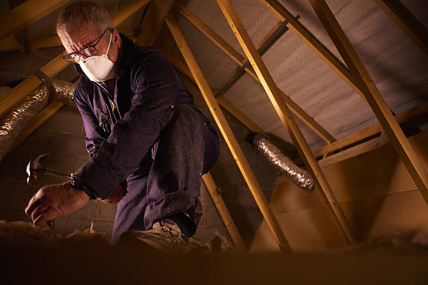 Best Local Insulation Services  in Pine Lake Park, NJ